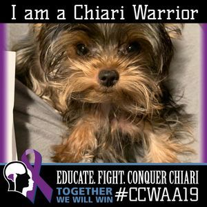 Meet your Posher, Charity